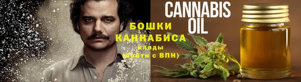 ECSTASY Дмитровск