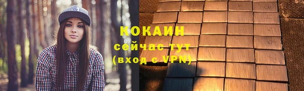ECSTASY Дмитровск