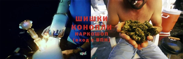 крисы Дмитров