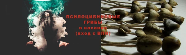ECSTASY Дмитровск