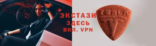 крисы Дмитров