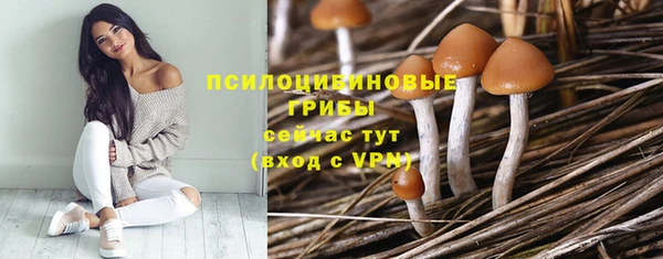 каннабис Гусев