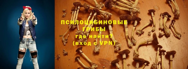 ECSTASY Дмитровск