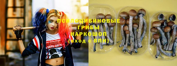 крисы Дмитров
