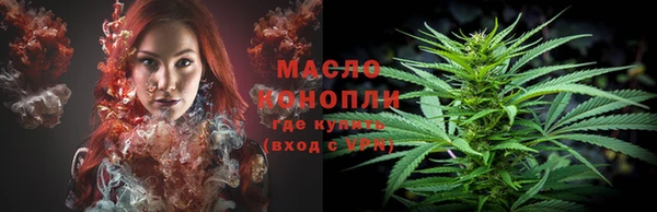 крисы Дмитров