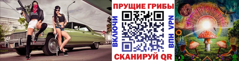 Псилоцибиновые грибы Cubensis  Игарка 